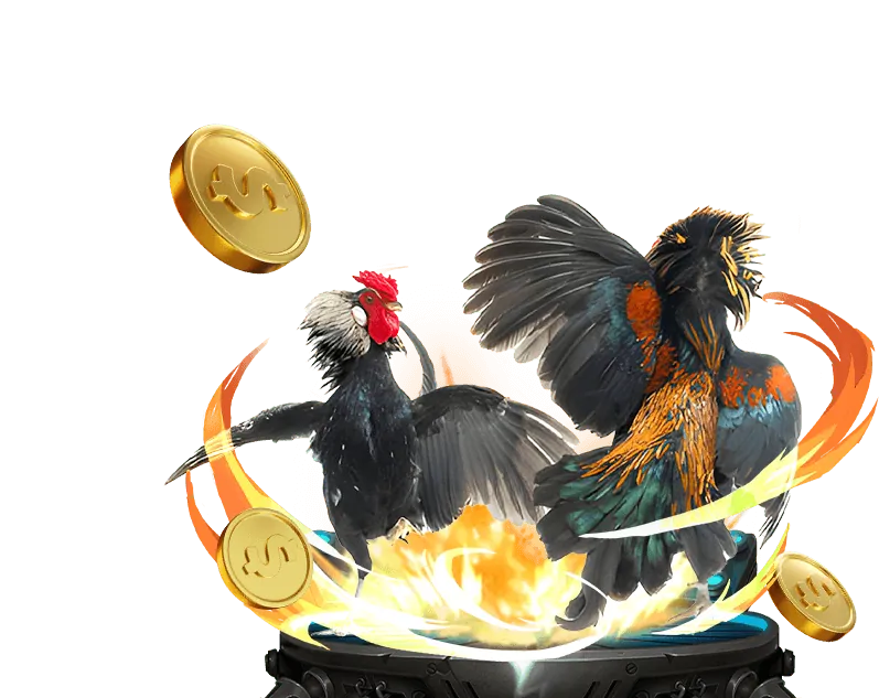 Người chơi xem đá gà trực tuyến trên 23 Win