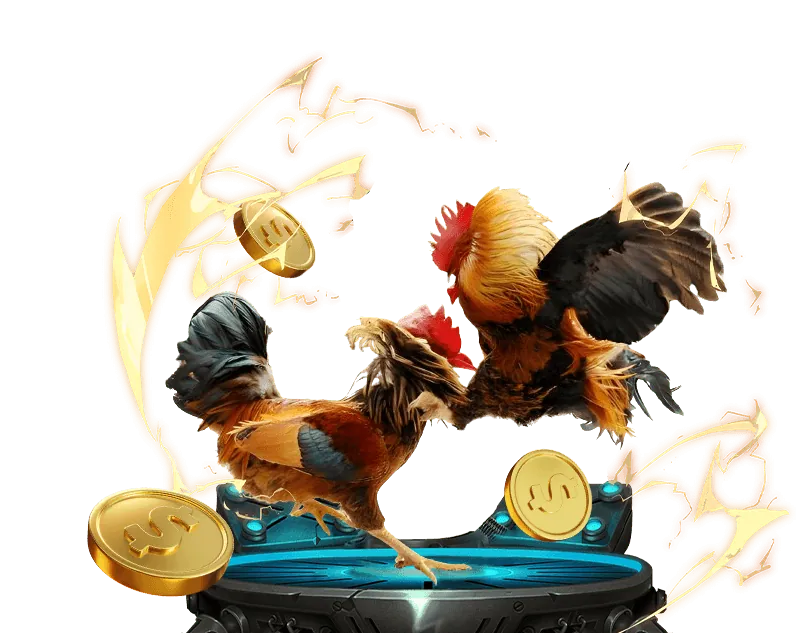 Trận đấu đá gà kịch tính tại 23 Win